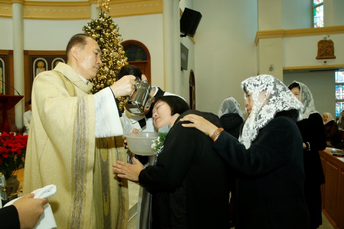 batch__MG_3705.JPG